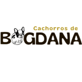 cachorros de bogdana españa